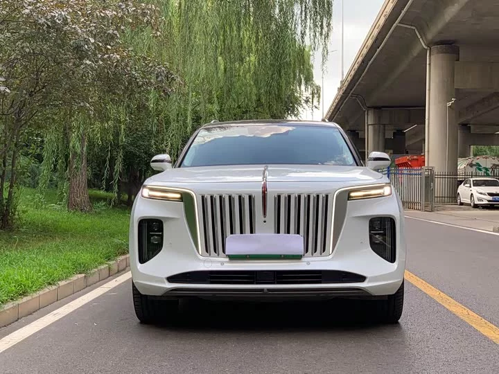 Hongqi E-HS9