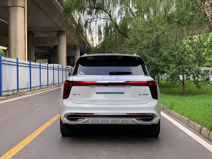 Hongqi E-HS9