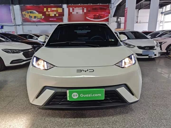 BYD seagull