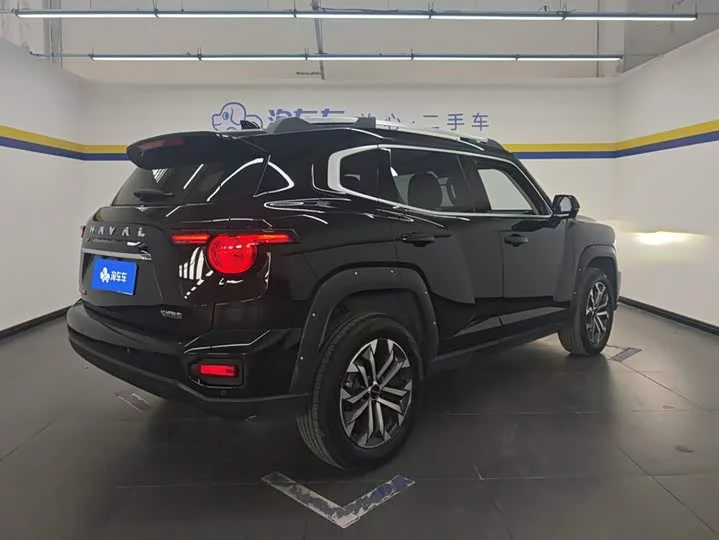 Haval Big Dog PLUS