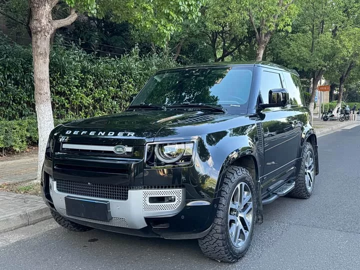Land Rover guard