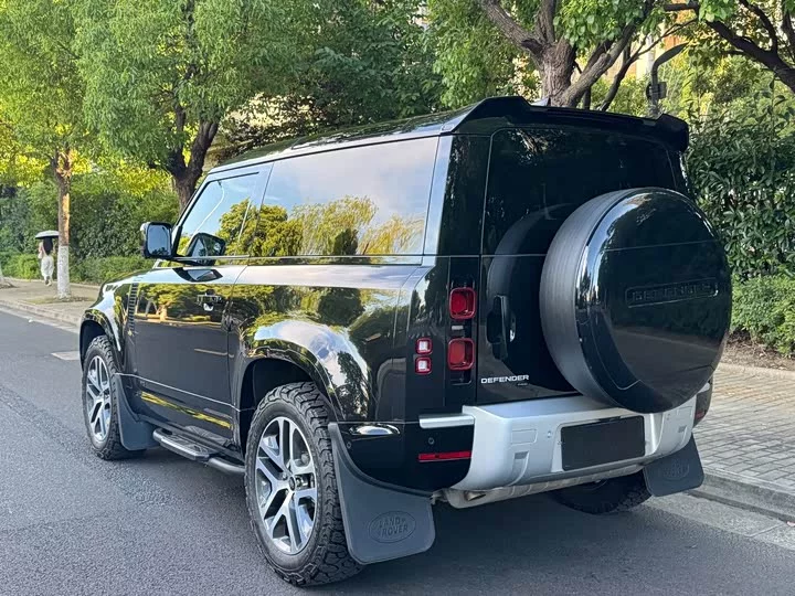 Land Rover guard