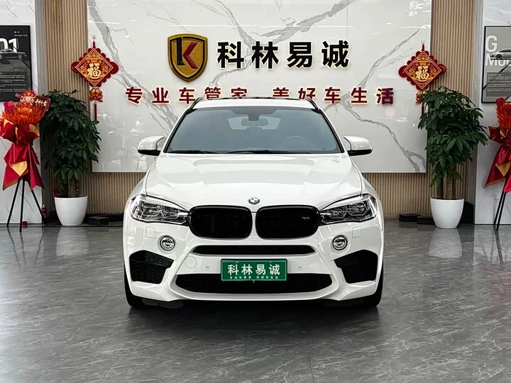 BMW X6 M