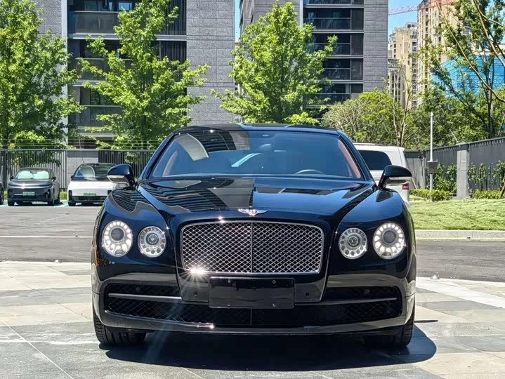 Bentley galloping
