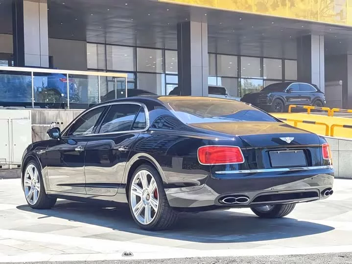 Bentley galloping