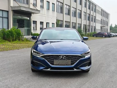 Hyundai Lafesta