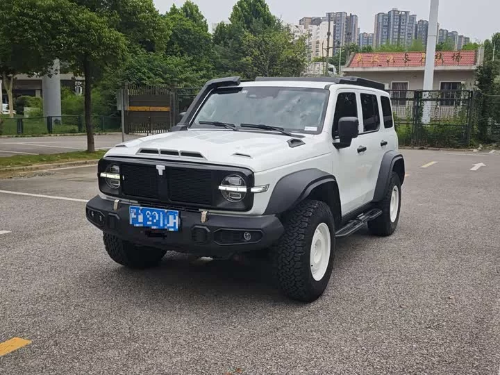 tank 300