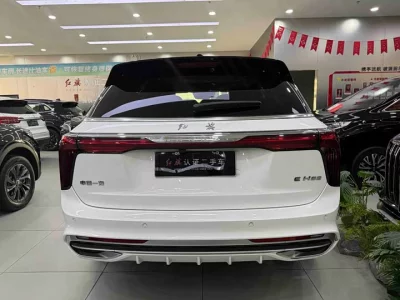 Hongqi E-HS9