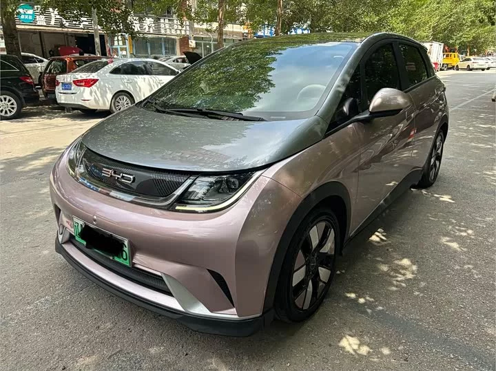 BYD dolphin