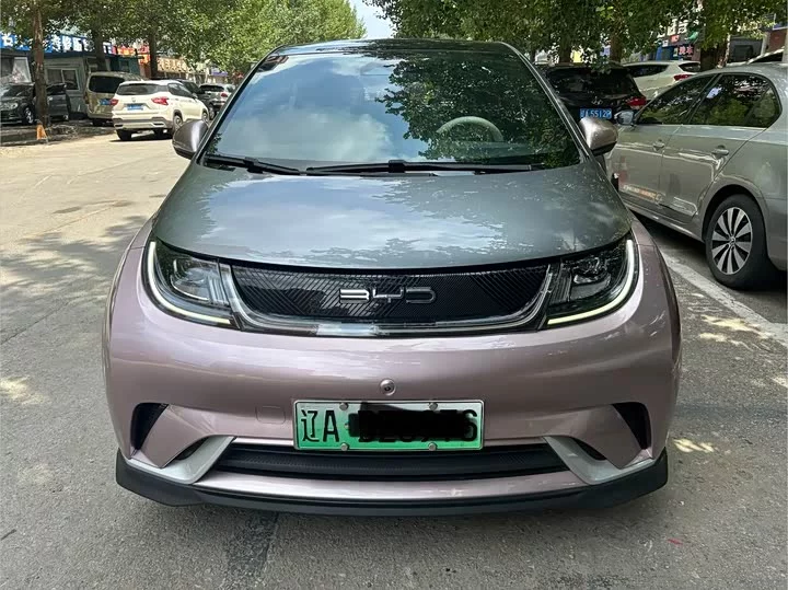 BYD dolphin