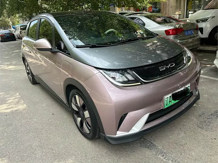 BYD dolphin