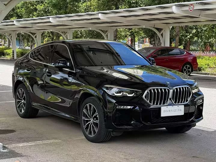 BMW X6
