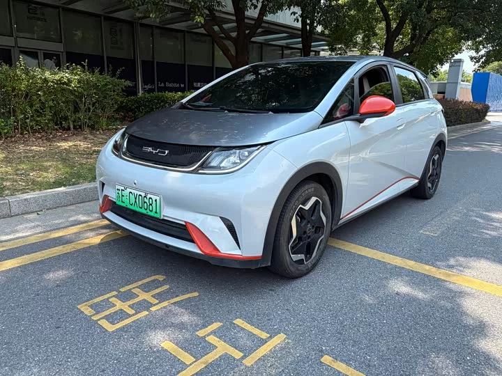 BYD dolphin