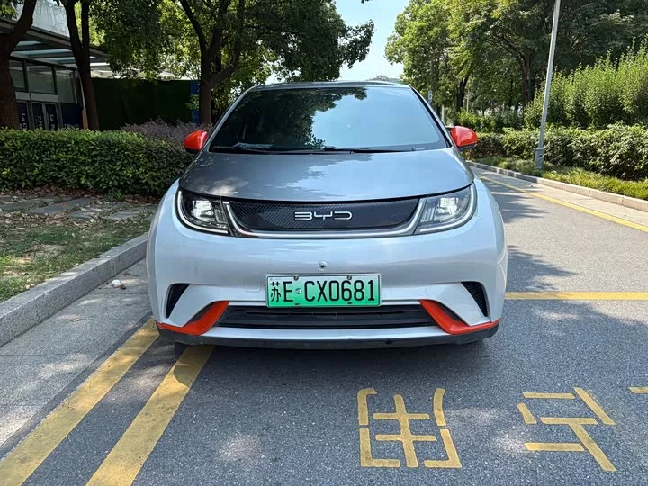 BYD dolphin