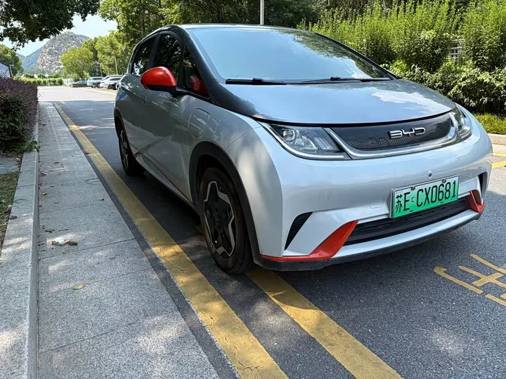 BYD dolphin