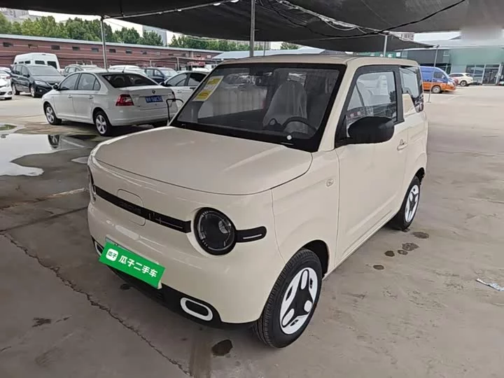 Geely panda