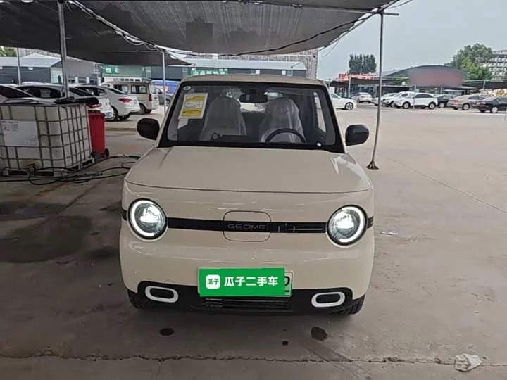 Geely panda
