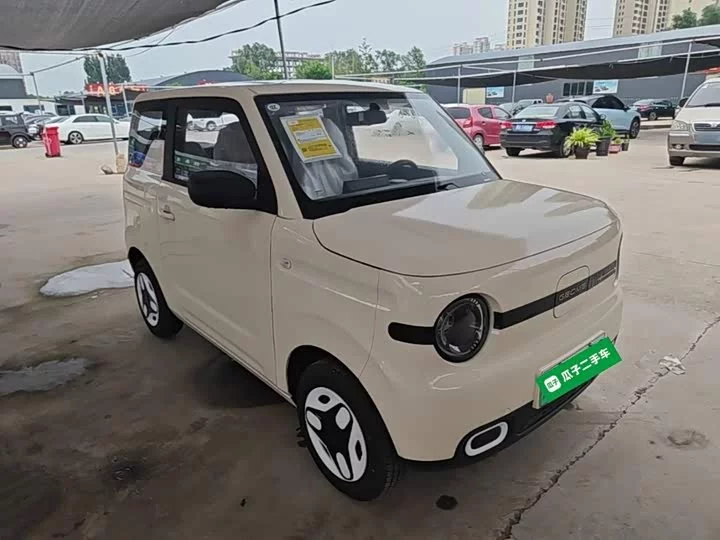 Geely panda