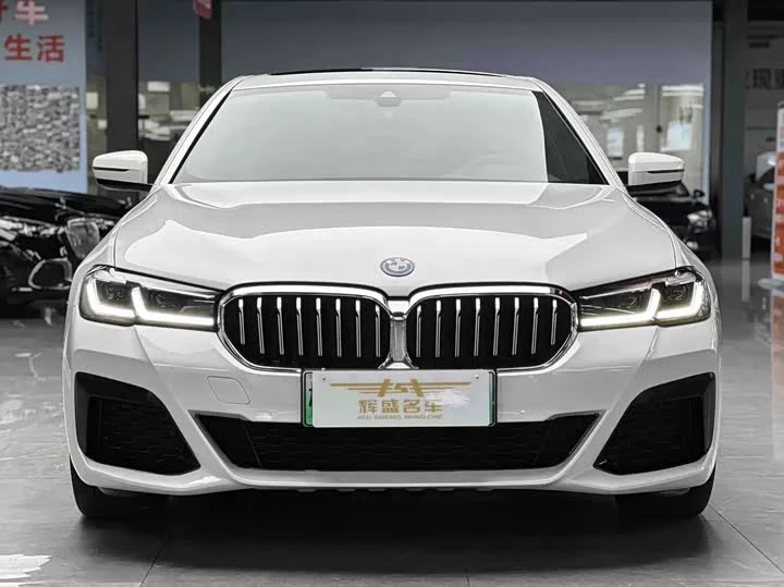 BMW 5 Series New Energy