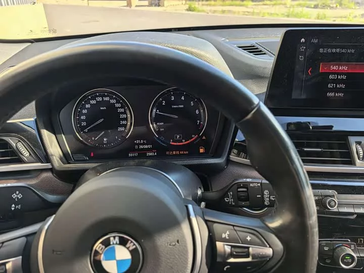 BMW X1
