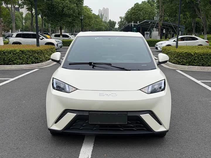 BYD seagull