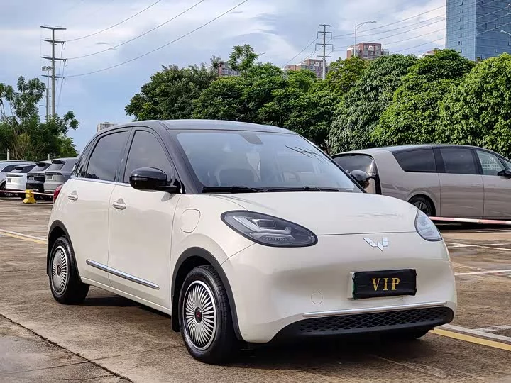 Wuling Bingo
