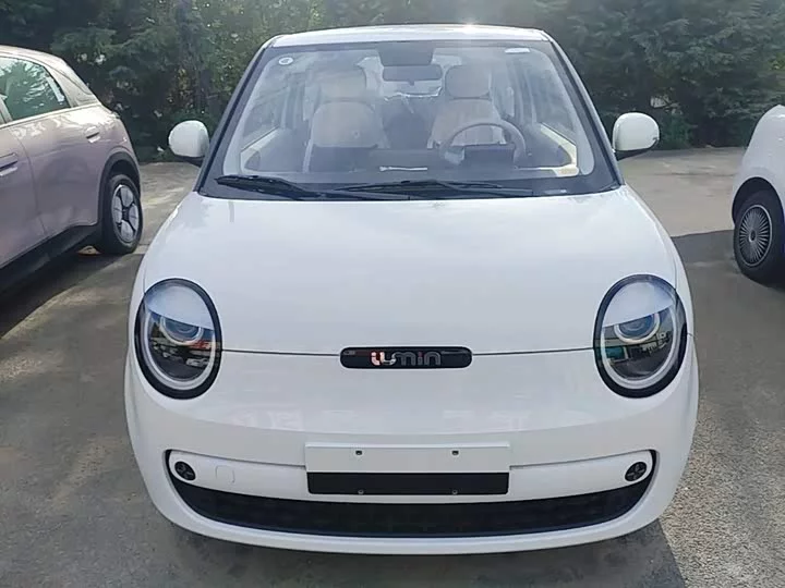 Changan Lumin