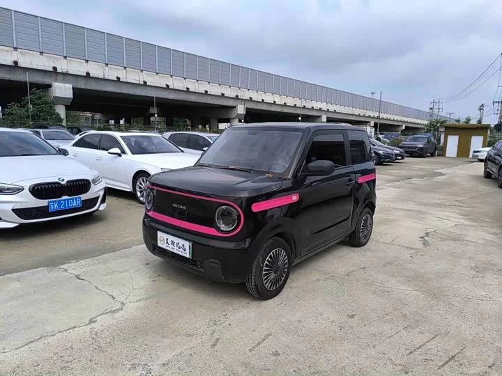 Geely panda