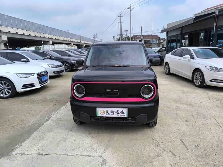 Geely panda