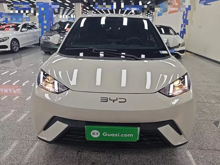 BYD seagull