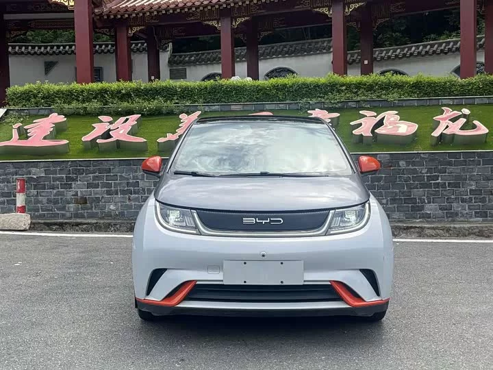 BYD dolphin