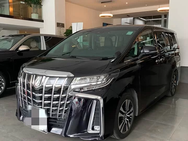 Toyota Elfa