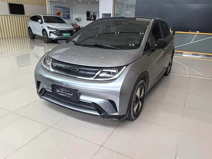 BYD dolphin