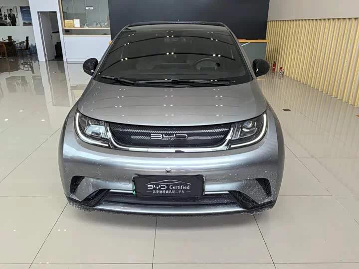 BYD dolphin