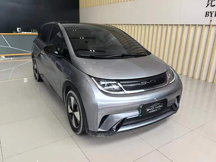 BYD dolphin