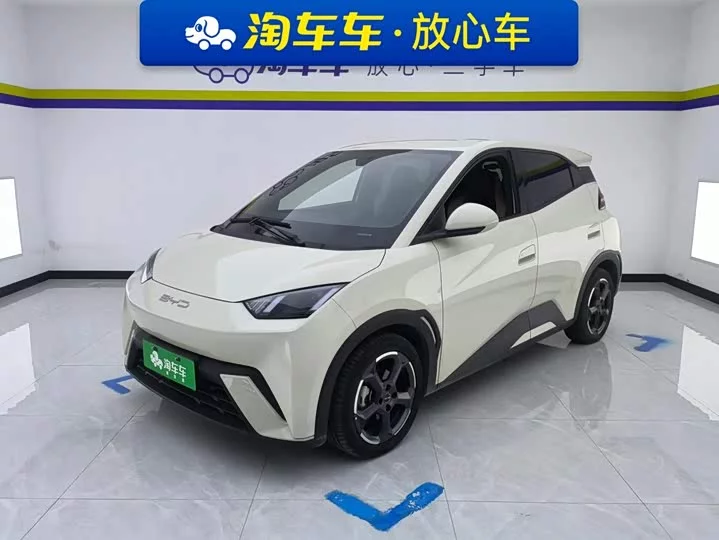 BYD seagull