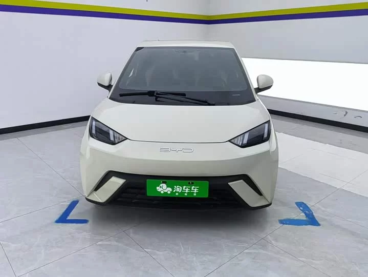 BYD seagull