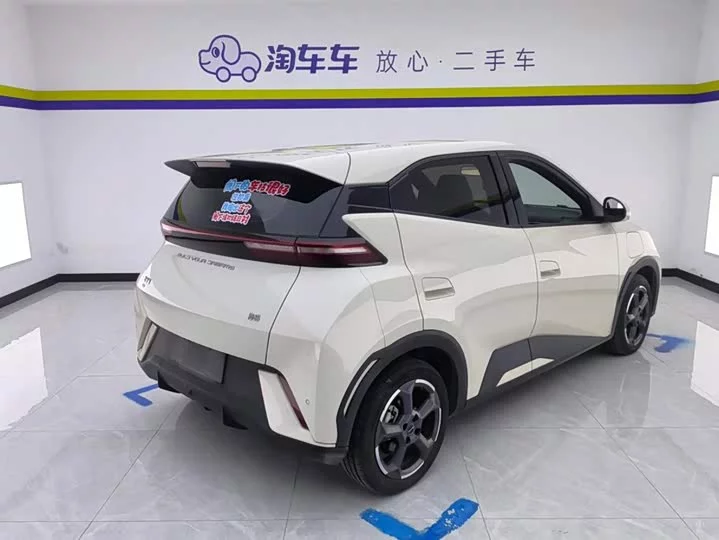BYD seagull