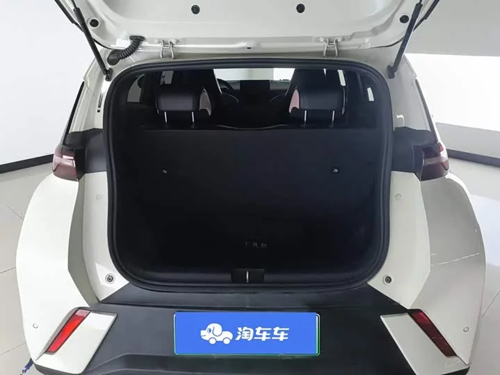 BYD seagull