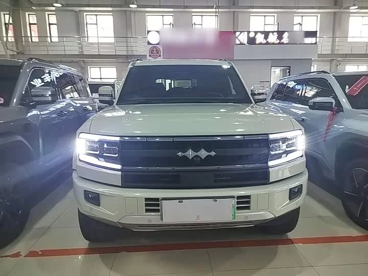 BYD Leopard Leopard 5