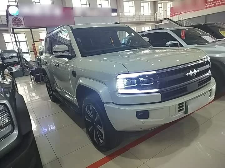 BYD Leopard Leopard 5