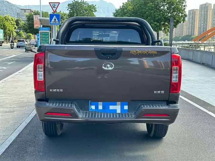 Great Wall gun