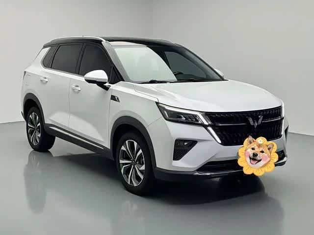 Wuling Star