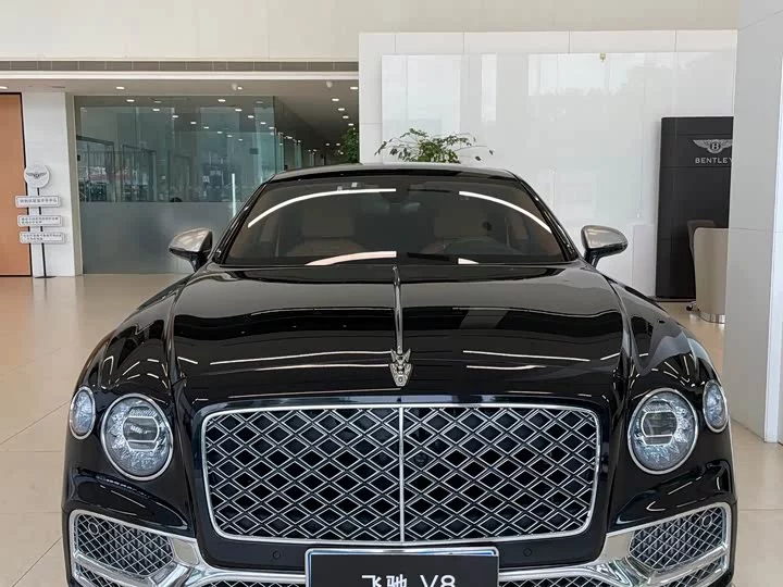 Bentley galloping
