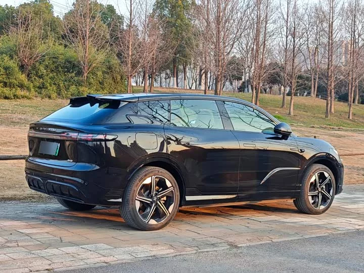 Lantu Automobile Lantu Zhiyin