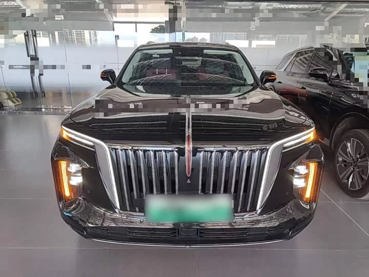 Hongqi E-HS9