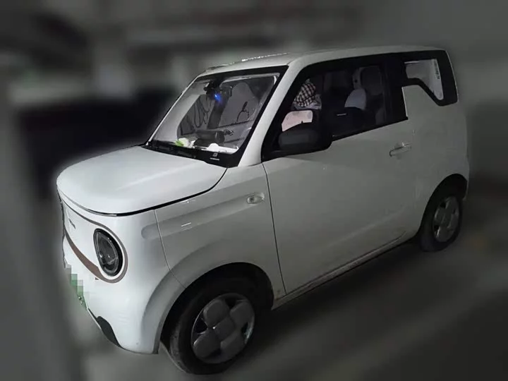 Geely panda