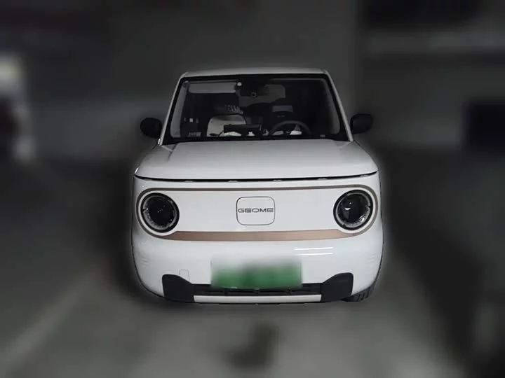 Geely panda