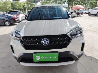 Venucia T60