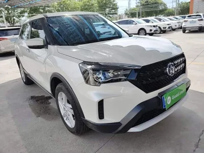 Venucia T60